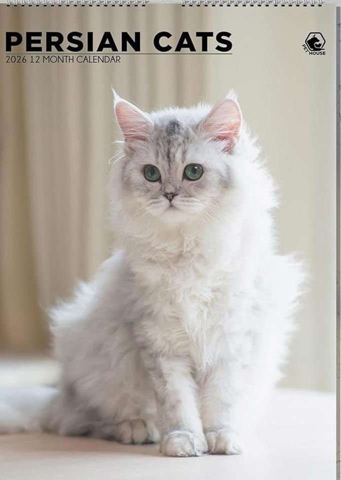 Persian Cat Photography 2026 Wall Calendar