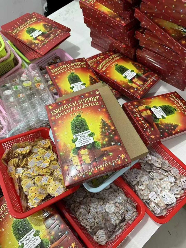 Personalized Skeleton Advent Calendar 2025, 24 Days Ornaments, Gothic Romantic Couple Gift, Christmas Countdown