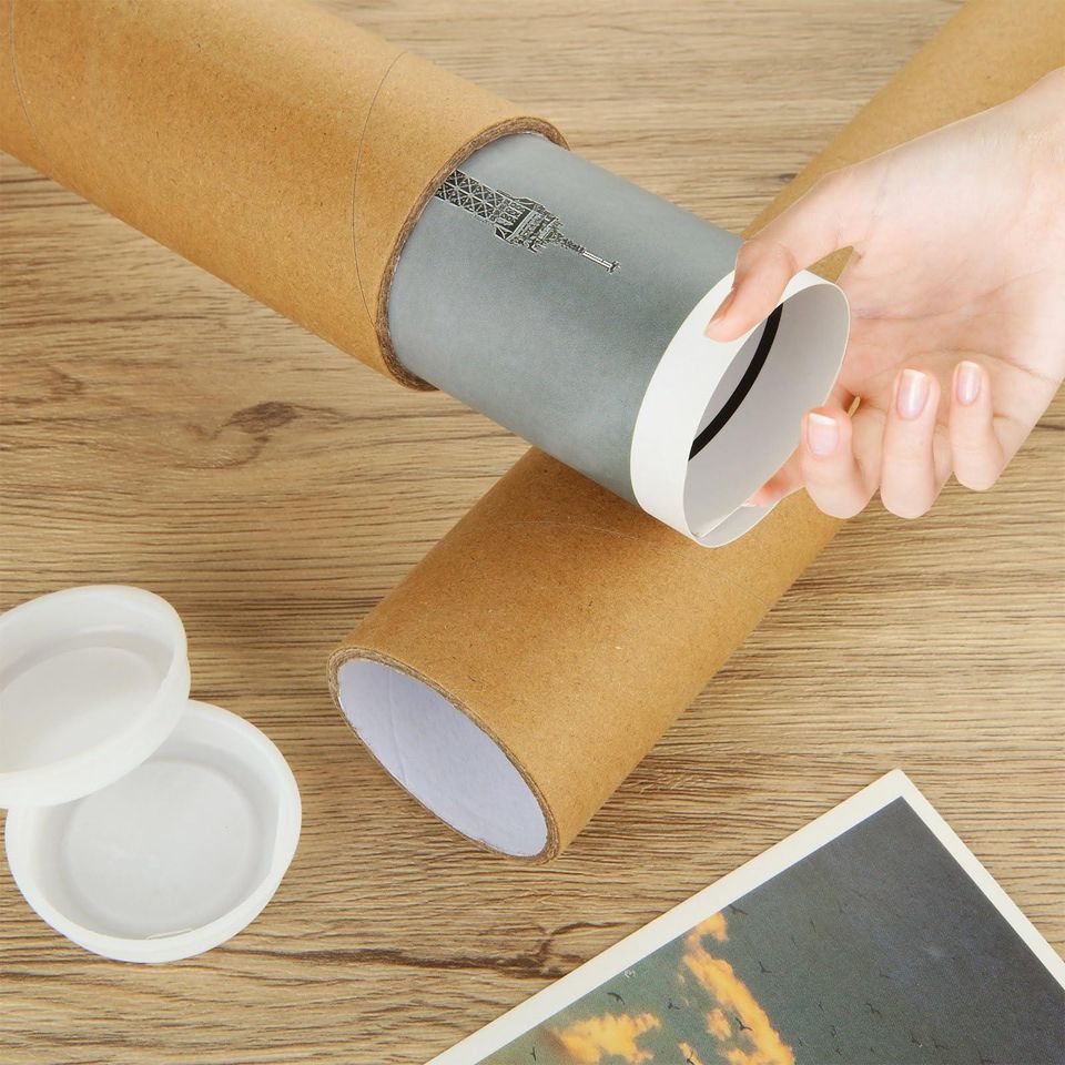 Robert Plant Saving Grace 2025 Tour Poster