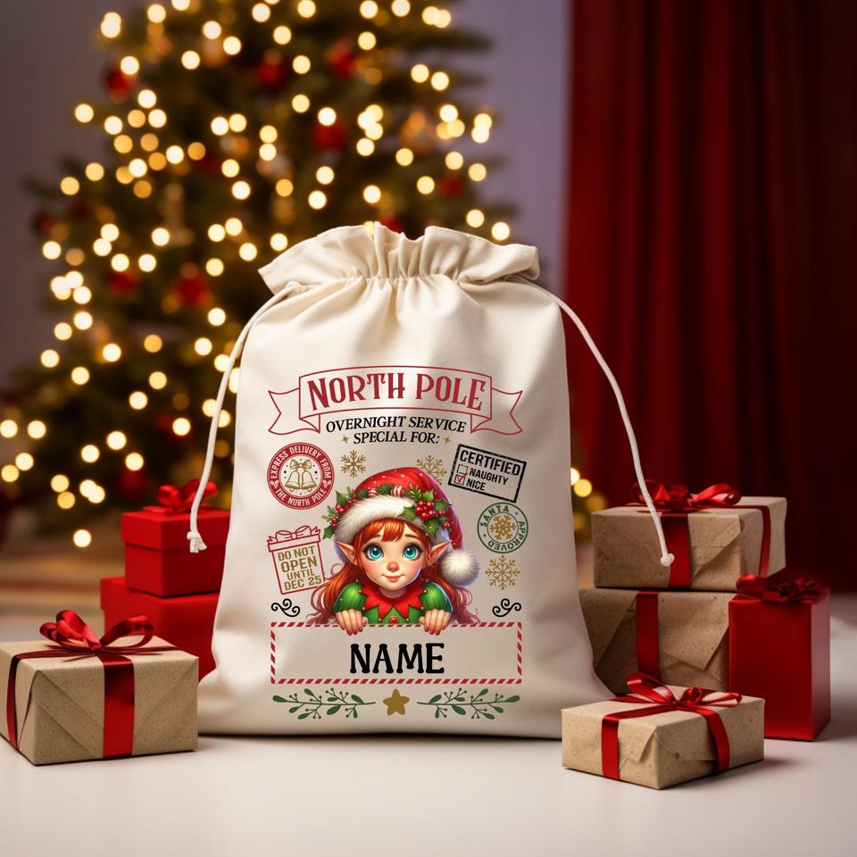 Personalized Santa Sack  North Pole Delivery Bag  Multiple Characters  Custom Name Gift Bag
