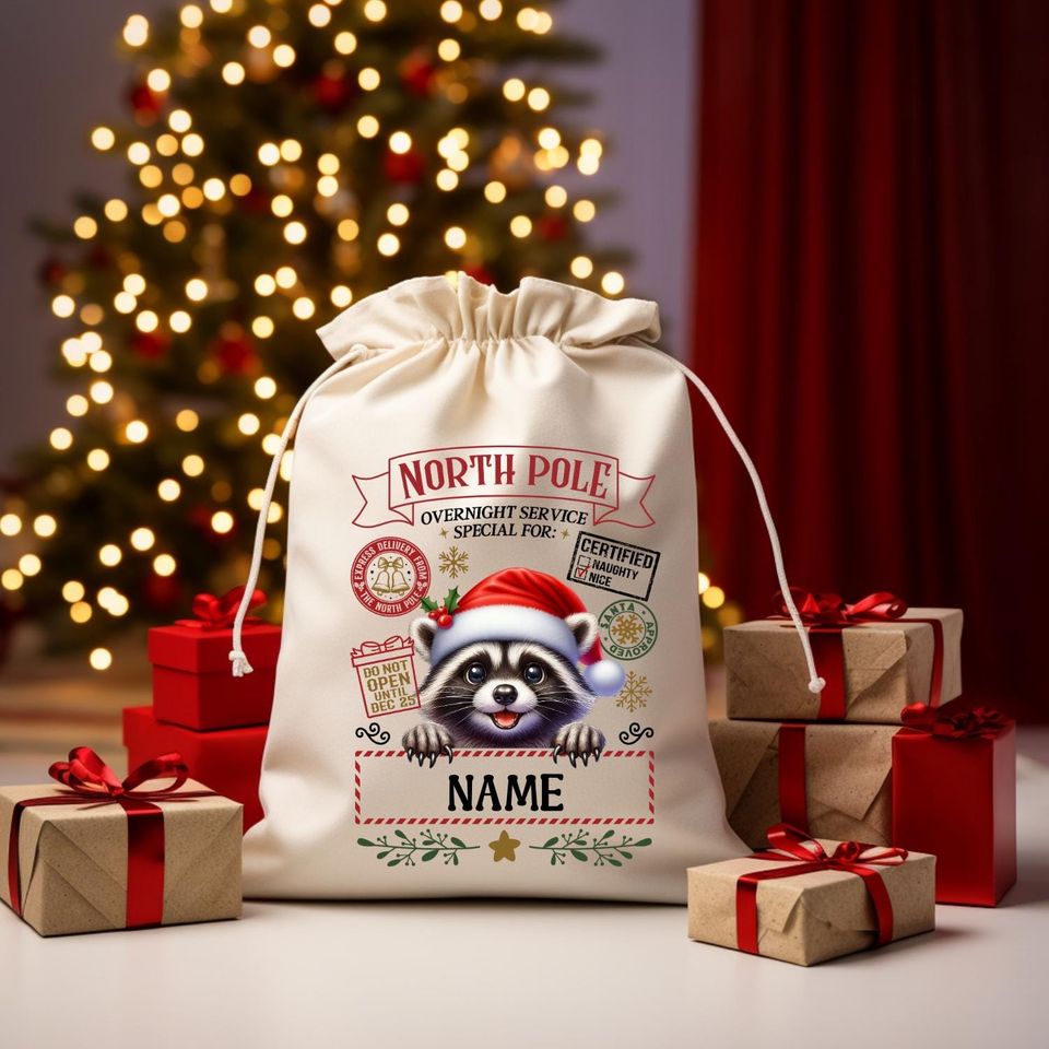 Personalized Santa Sack  North Pole Delivery Bag  Multiple Characters  Custom Name Gift Bag
