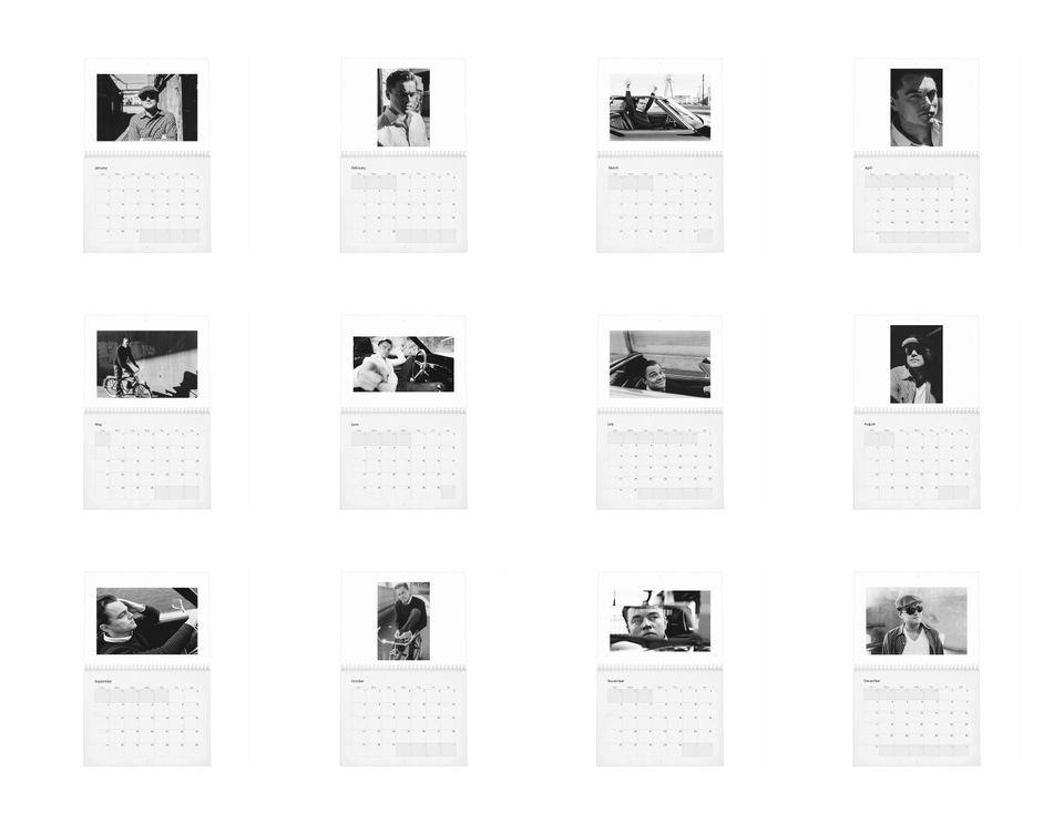 Leonardo DiCaprio Vol.1 - 2024 Wall Calendar