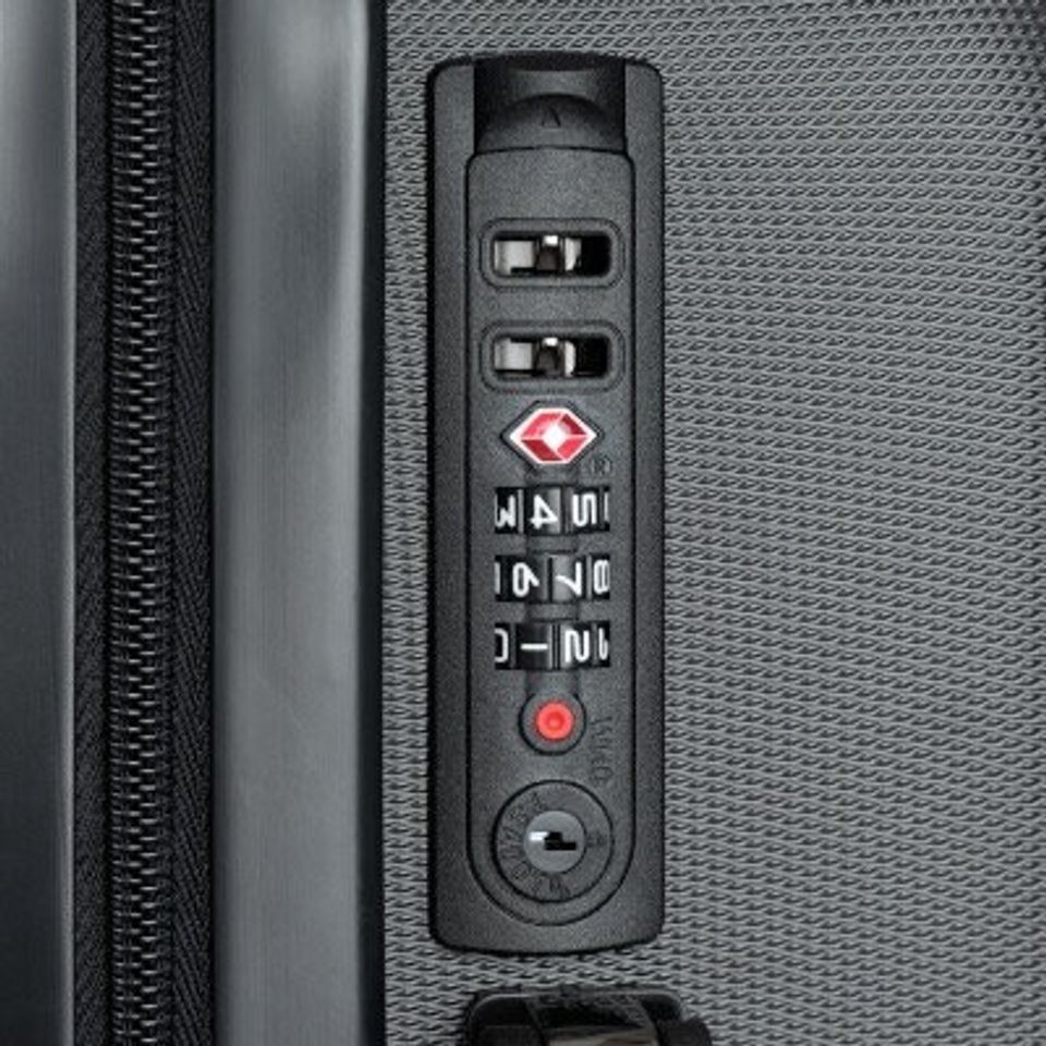 Lemon Theme Luggage, Fruit Merch