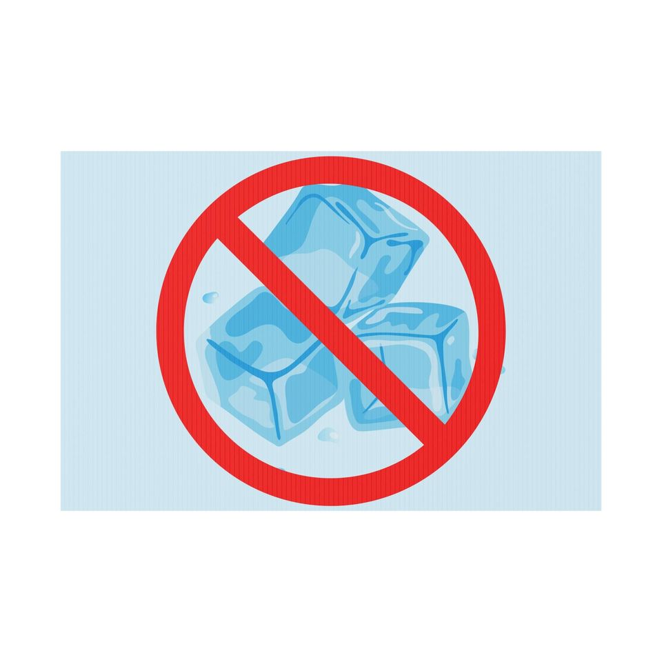 No ICE Symbol Plastic Yard Sign