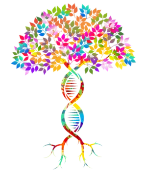 Explore family Ideas